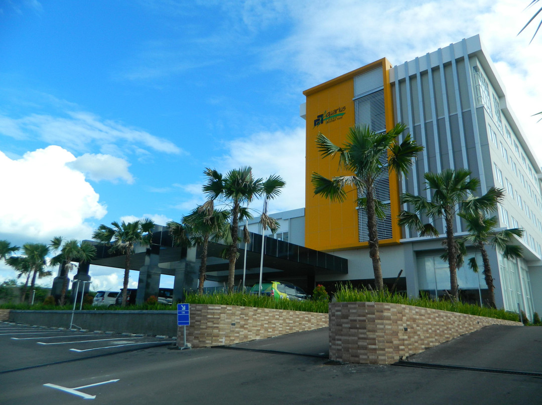 Sampit酒店住宿-Aquarius Boutique Hotel Sampit