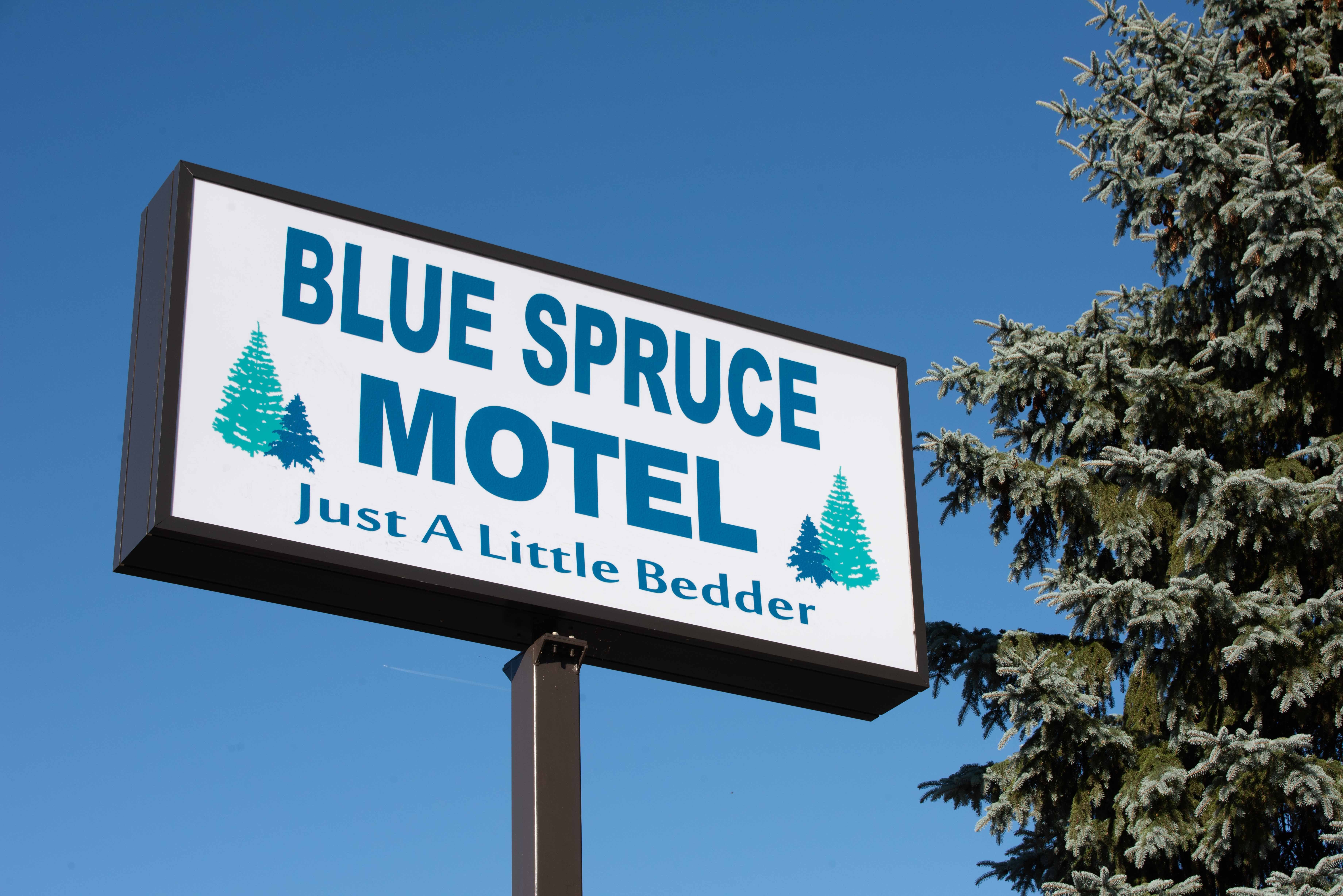 Blue Spruce Motel-官方