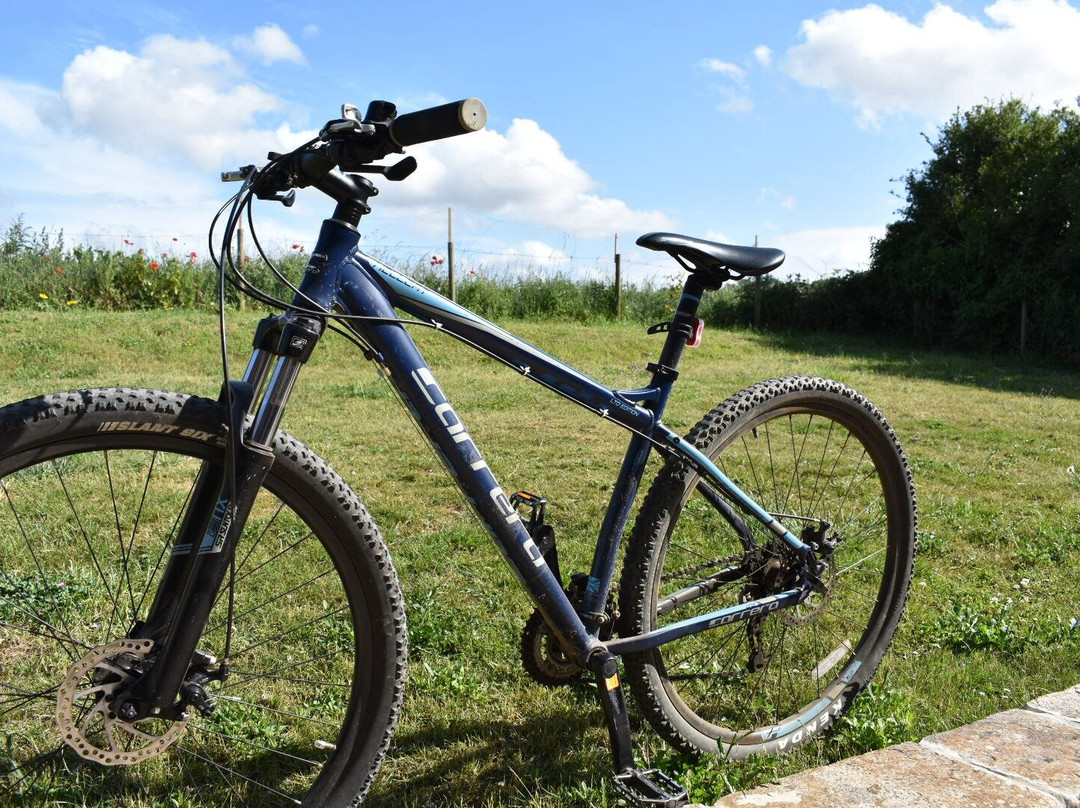 Norfolk Bike Hire