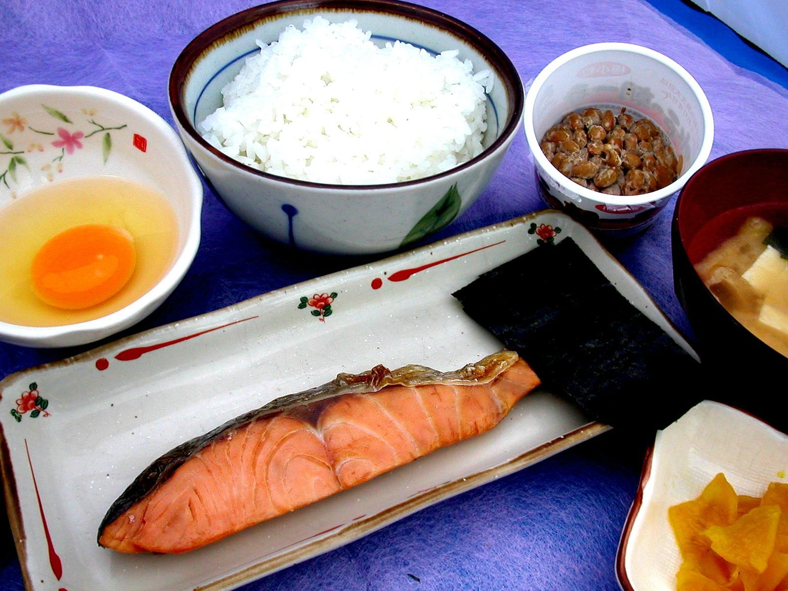 Fujien-官方