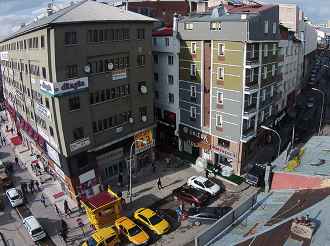 Erzurum酒店住宿-Saltuk Otel