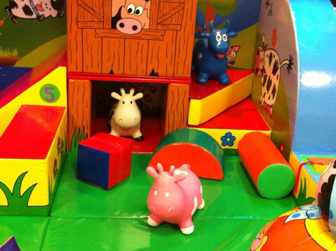 Fun Farm Softplay & Sensory
