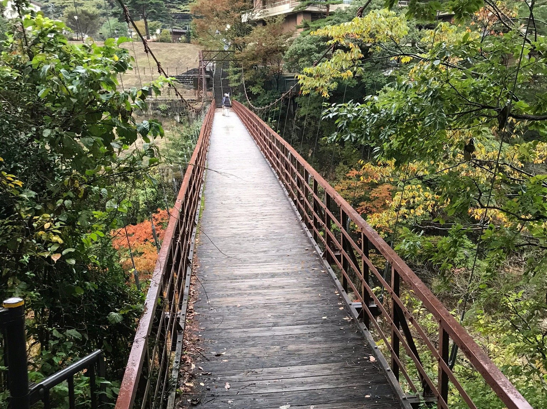 Takimi Bridge-日光市必去景点