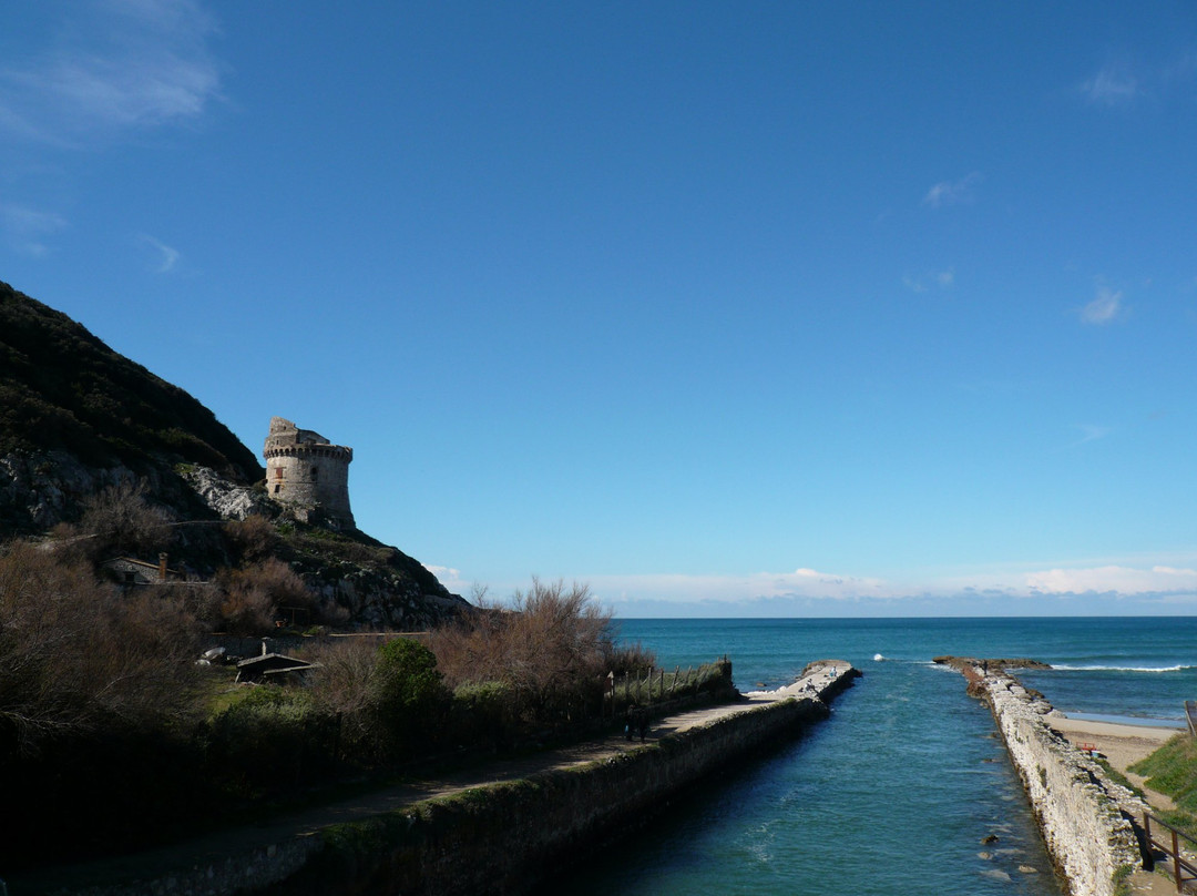 Spiaggia di Torre Paola景点图片