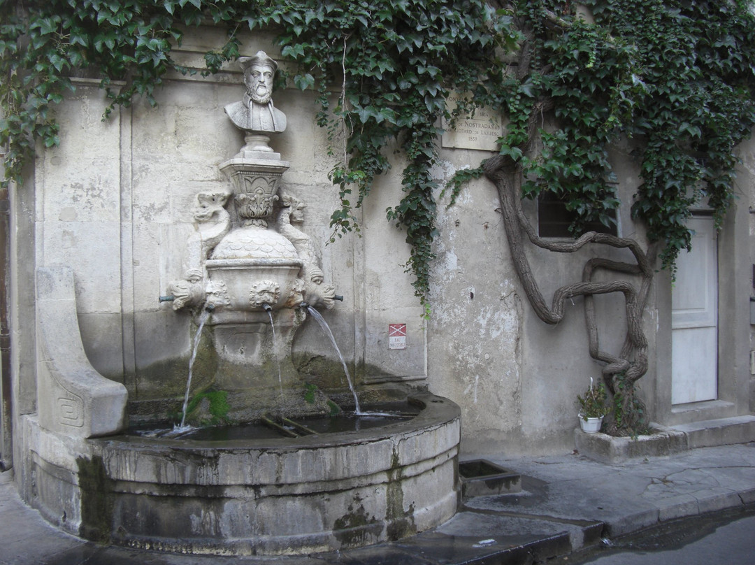 Fontaine Nostradamus景点图片
