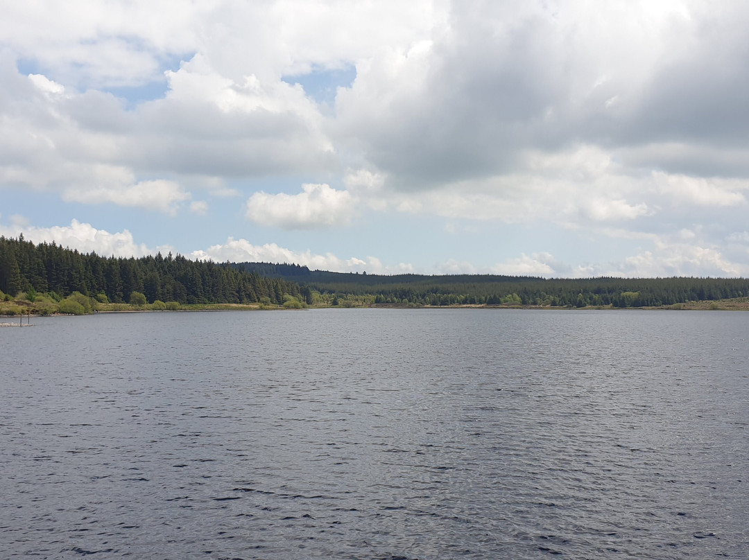 Killylane Reservoir景点图片