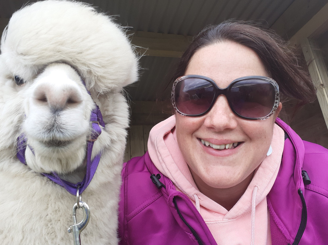 Wild Alpaca Way-Malin Head必去景点
