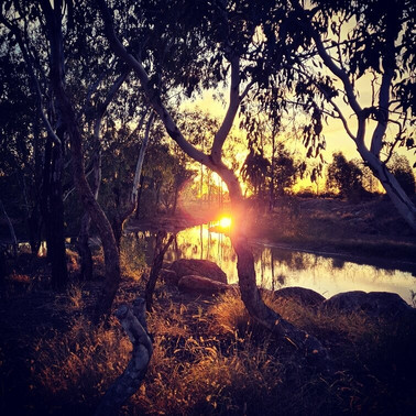 Cunnamulla Bushlands-Cunnamulla必去景点