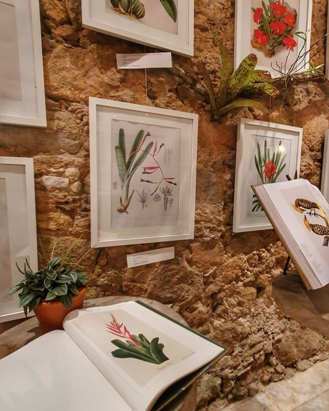 Das Coisas Naturais Do Brasil