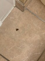 Comfort Suites Nacogdoches主图