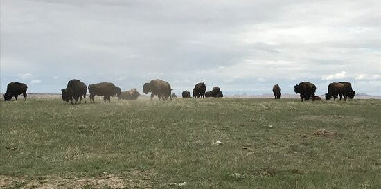 Badlands Overlook-Medora必去景点