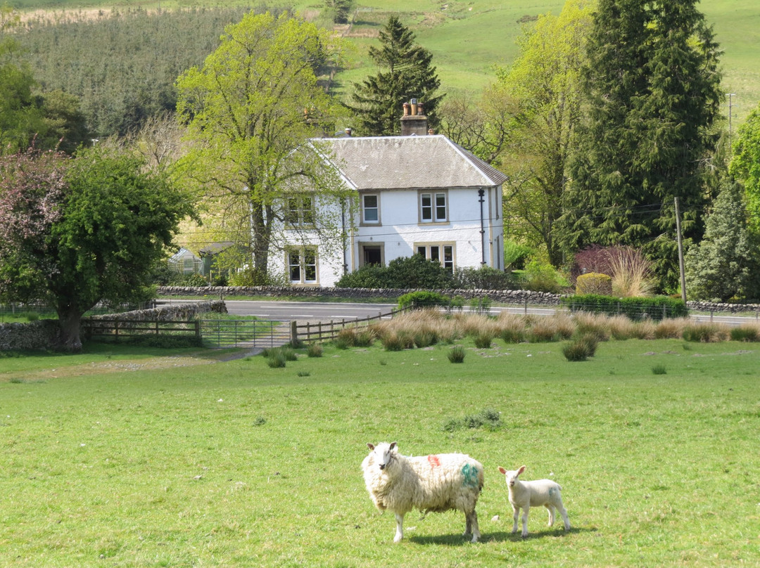Hawick酒店住宿-Colterscleuch House & Cottage