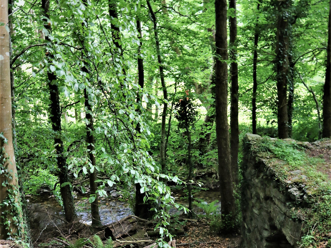 Abergwynant Woods-Penmaenpool必去景点