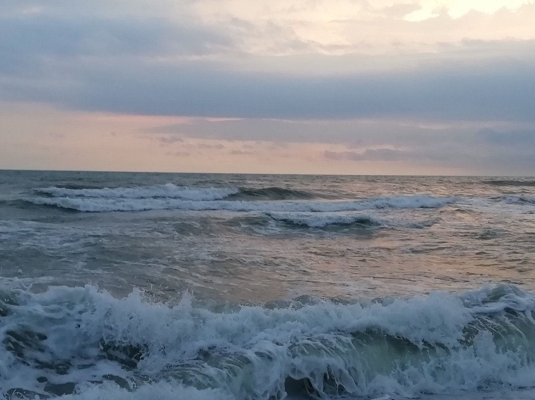 Shekvetili Green House