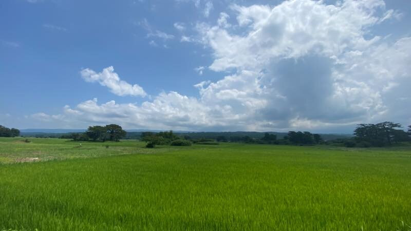 九十九岛景点图片