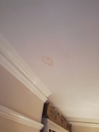 Cedar House Boutique B&B主图