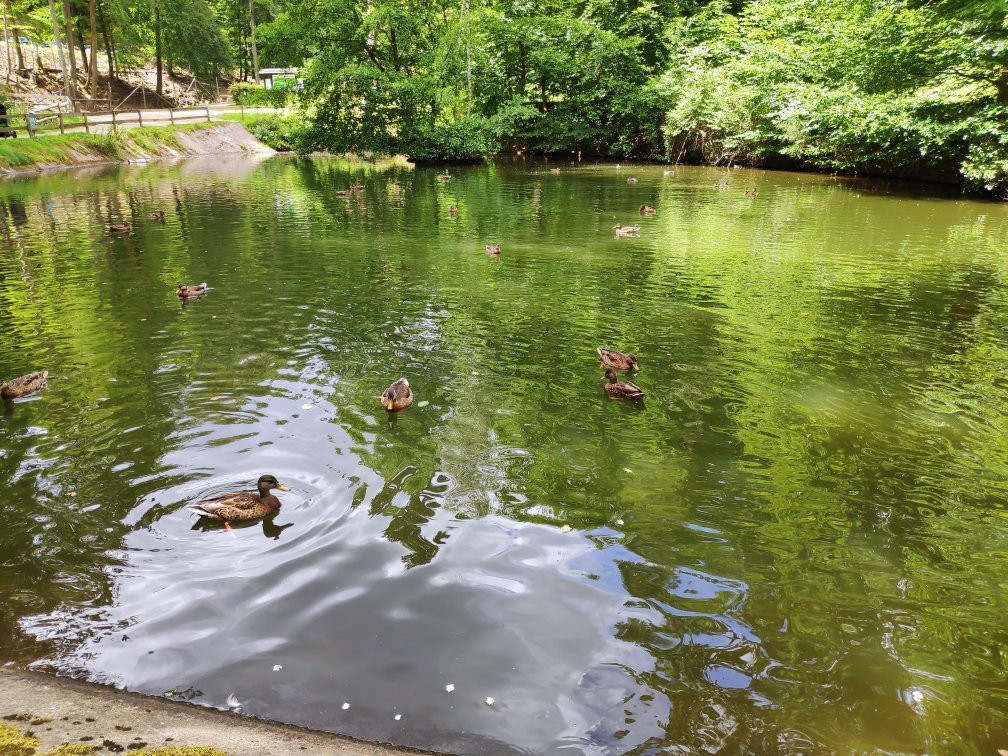 Bergtierpark Füerth-Erlenbach-Fuerth必去景点