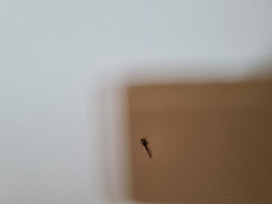 Leonardo Kolymbia Resort主图