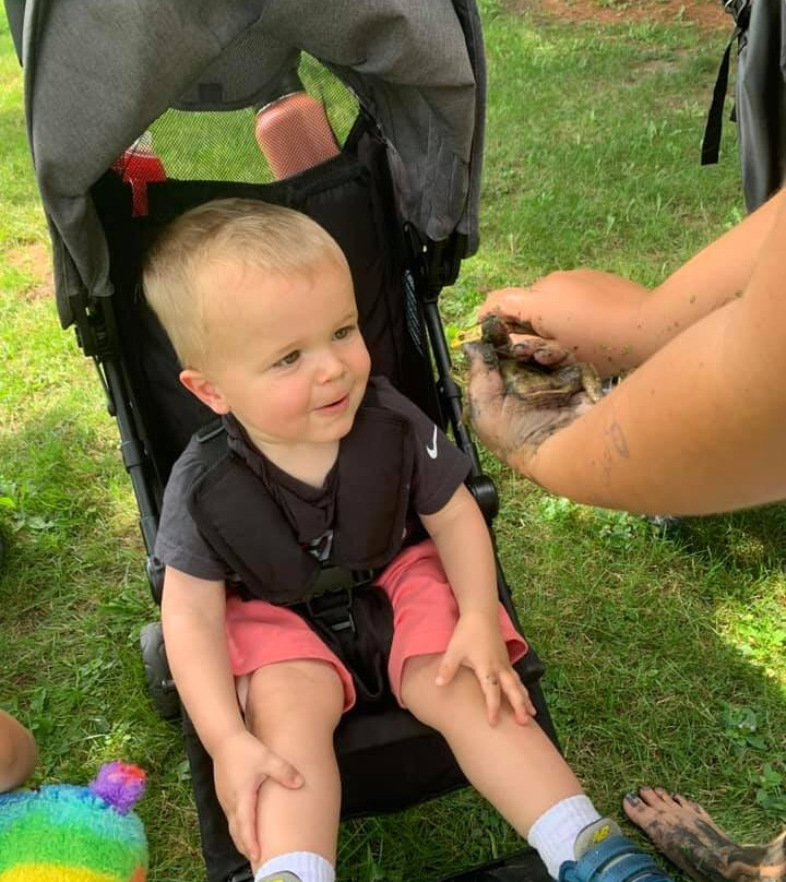 The Tyler Place Family Resort主图