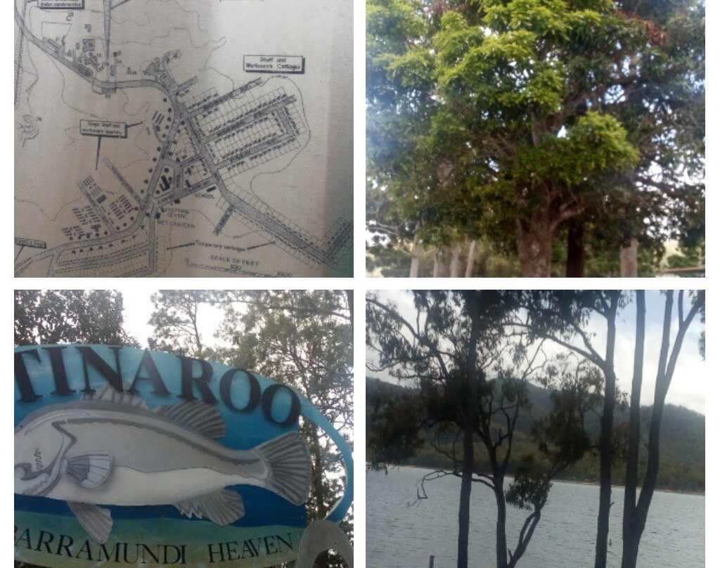 Lake Tinaroo- 阿瑟顿必去景点