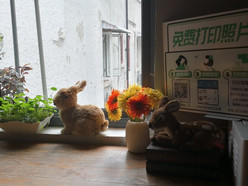 Gallery 1