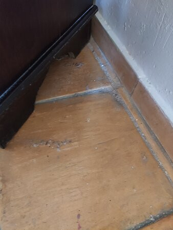 La Casita de Cabrejas主图