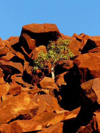 Murujuga National Park-Dampier必去景点