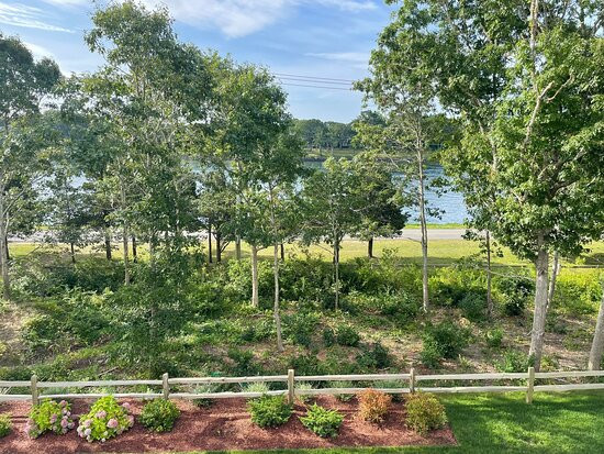 Hampton Inn By Hilton Buzzards Bay Cape Cod Canal主图