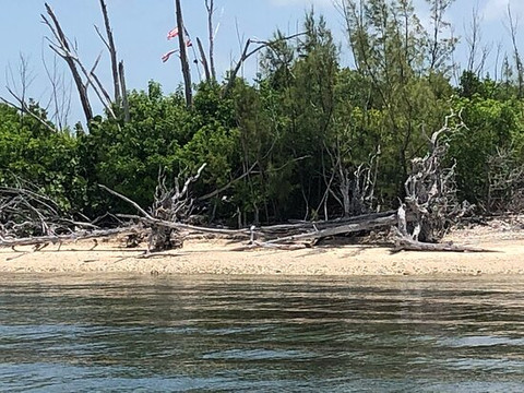 Lagerheads Beach Bar and Watersports-基韦斯特必去景点