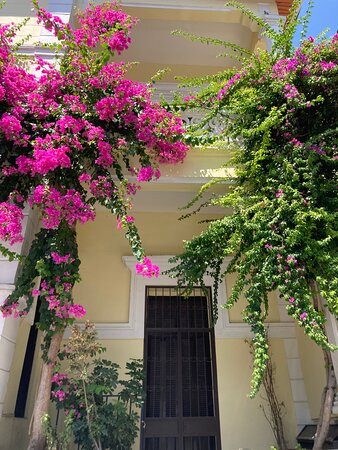 Antik Beyazit Hotel主图