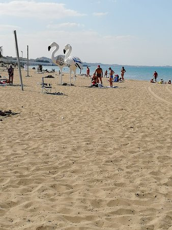 Action Hotel Ras Al Khaimah主图