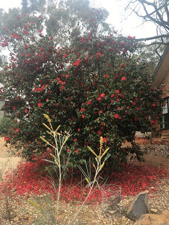 Seville Hill Winery-Seville必去景点