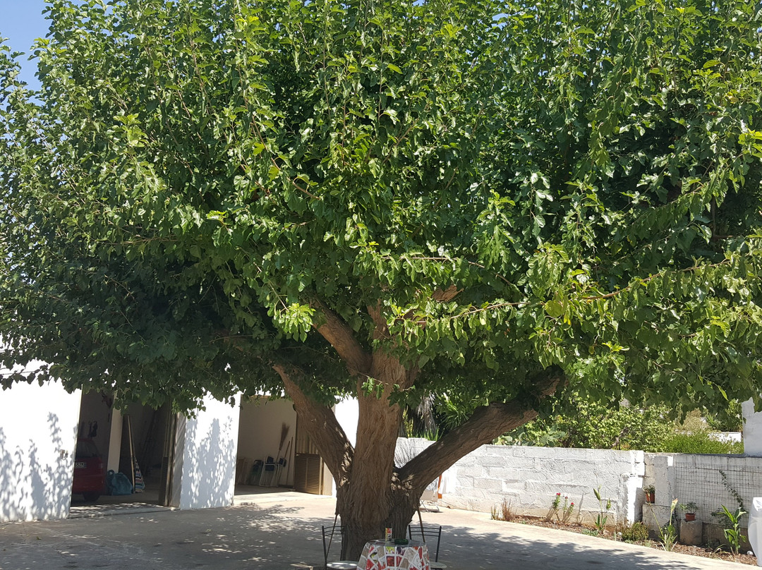 Chiesanuova酒店住宿-Lu Zezzu