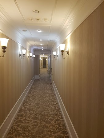Razumovskiy Business Club Hotel主图