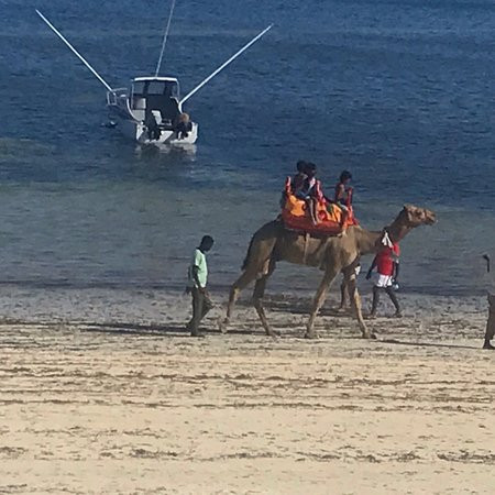 Indiana Beach Apartment Hotel主图