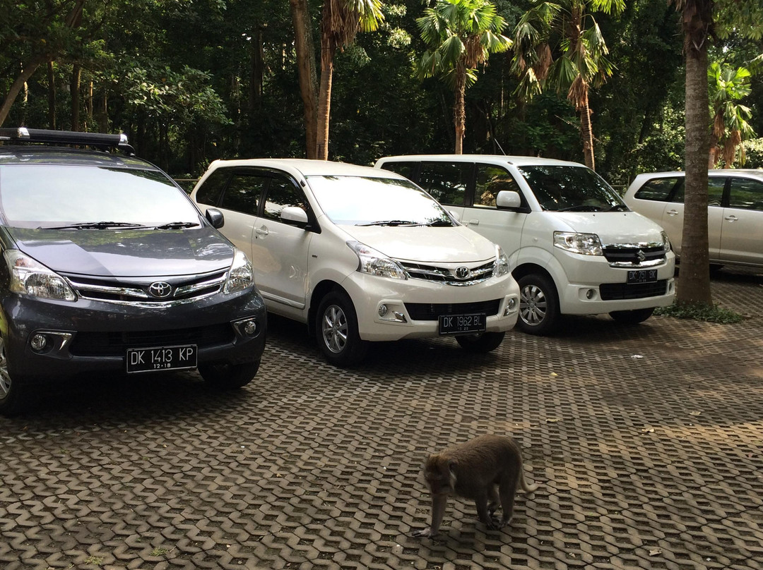Balian Traveling - Day Tours景点图片