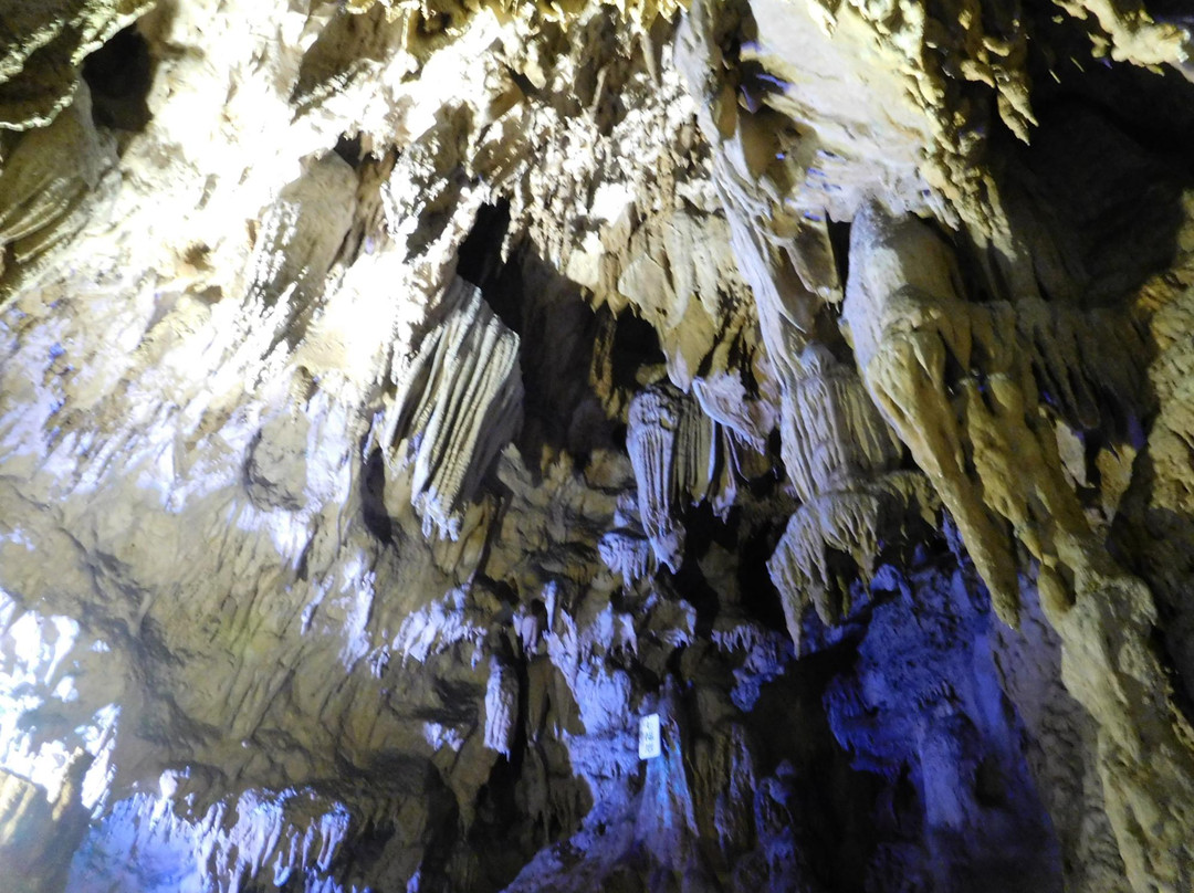 Onagara Limestone Cave-佐伯市必去景点