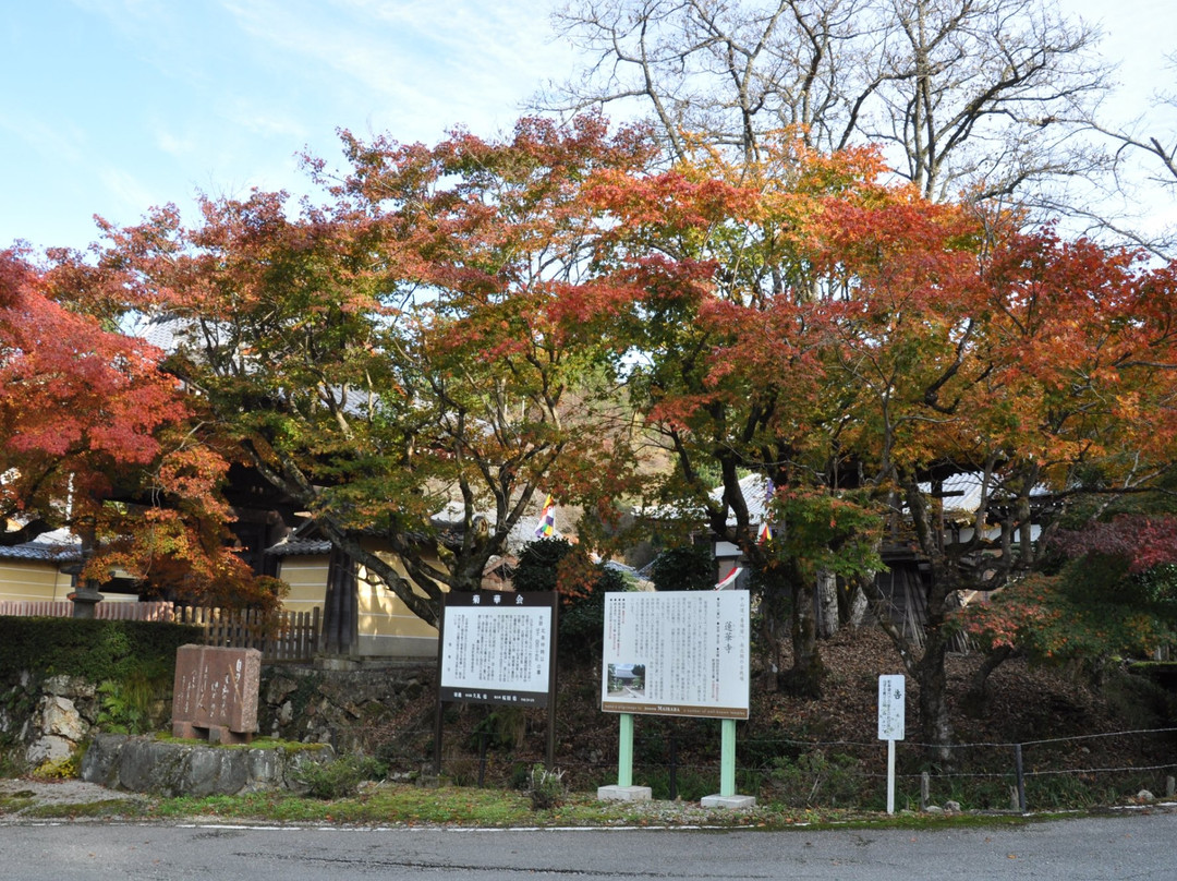 Rengeji Temple景点图片