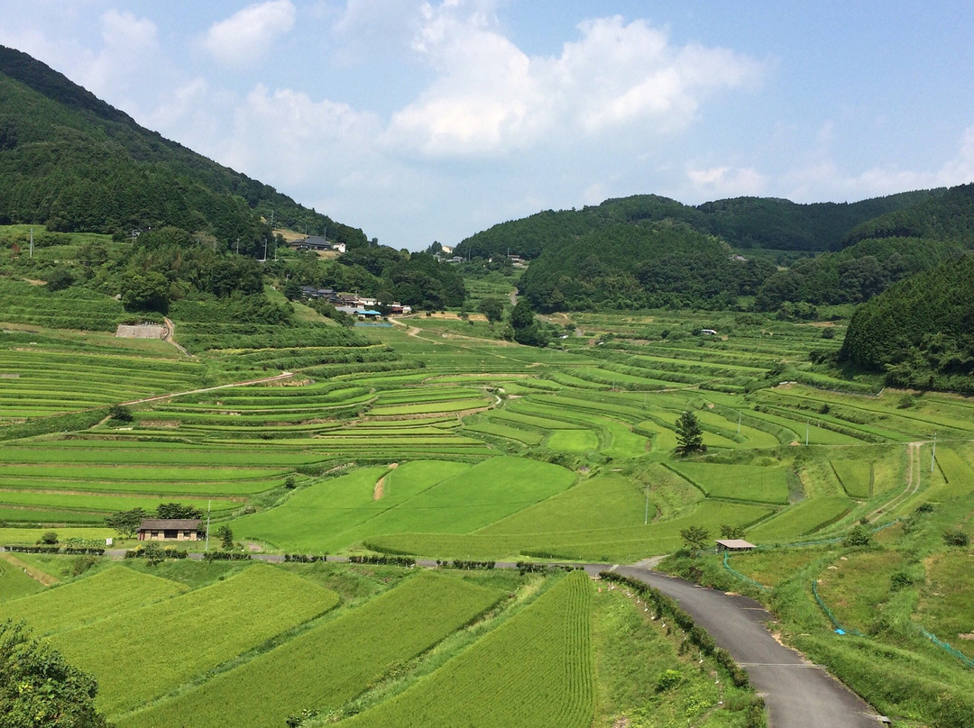 Ohaganishi Rice Terraces景点图片