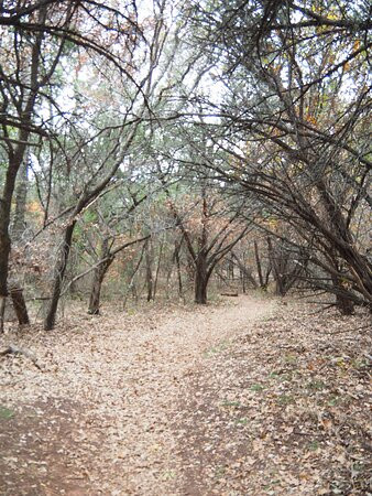 Abilene State Park景点图片