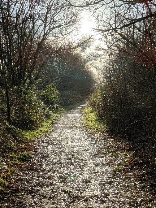 North Cave Wetlands Nature Reserve景点图片
