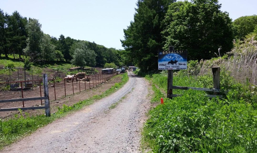 Dosanko Farm Hakodate-函馆市必去景点