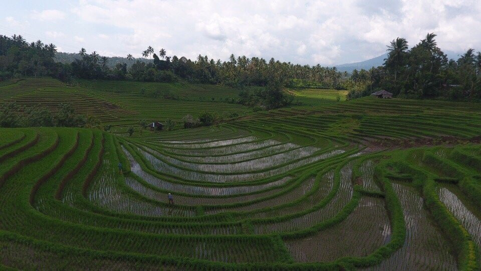Bali Erlebnis Tour-登巴萨必去景点