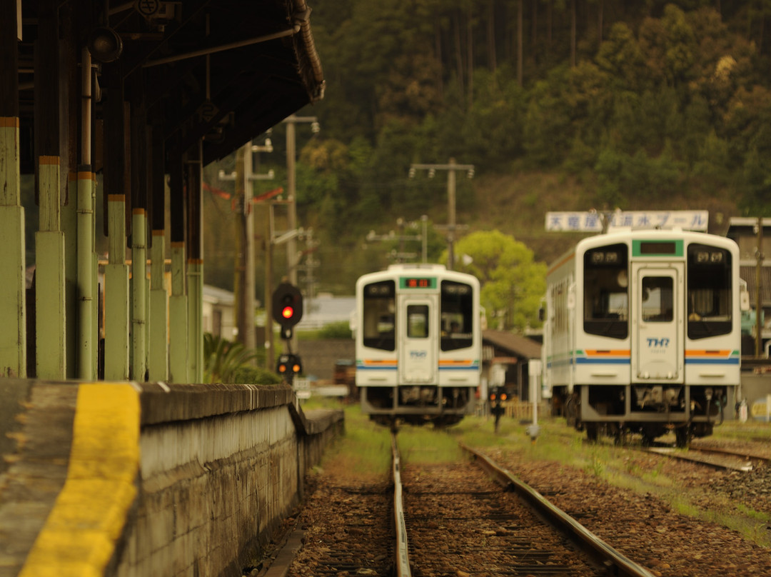 Tenryu Hamanako Railway景点图片