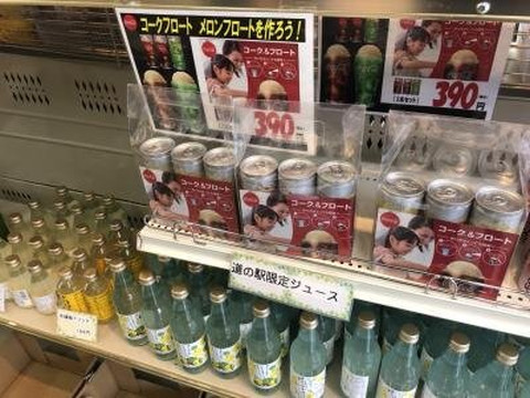 Michi-No-Eki Wajiki-那贺町必去景点