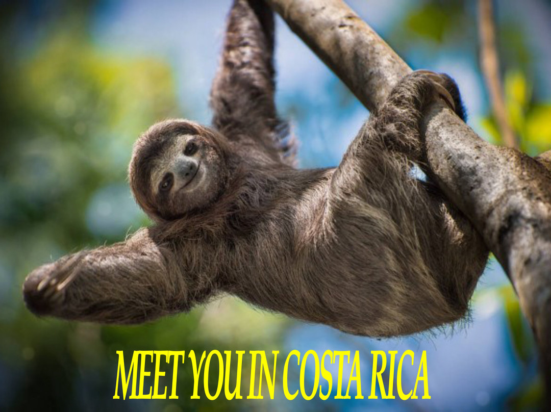 All Exclusive Tours Costa Rica景点图片