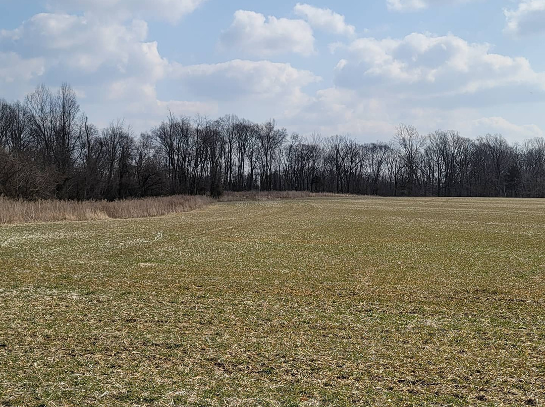 Old Bohemia Wildlife Management Area-Warwick必去景点