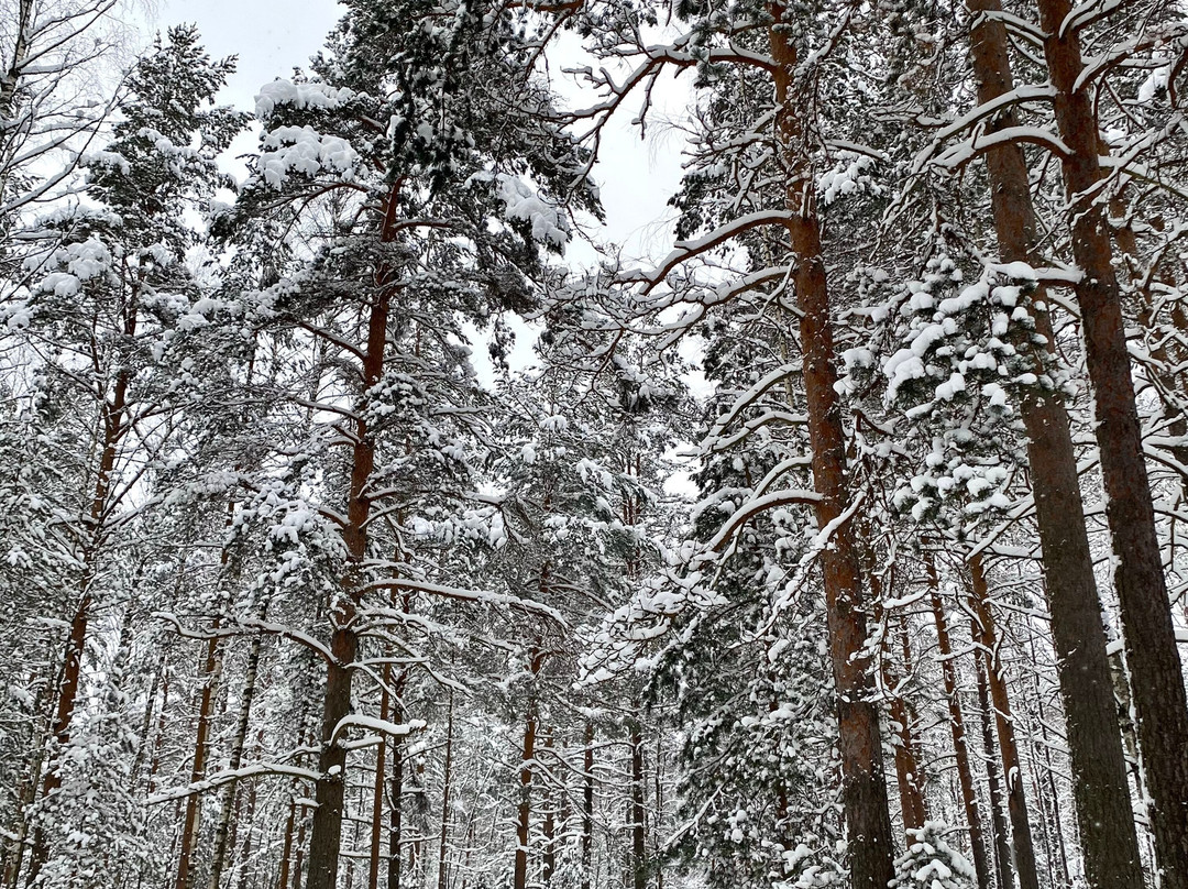 Orekhovo旅游攻略图片