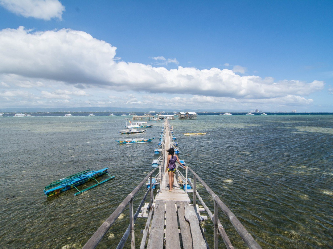 San Vicente Marine Sanctuary景点图片