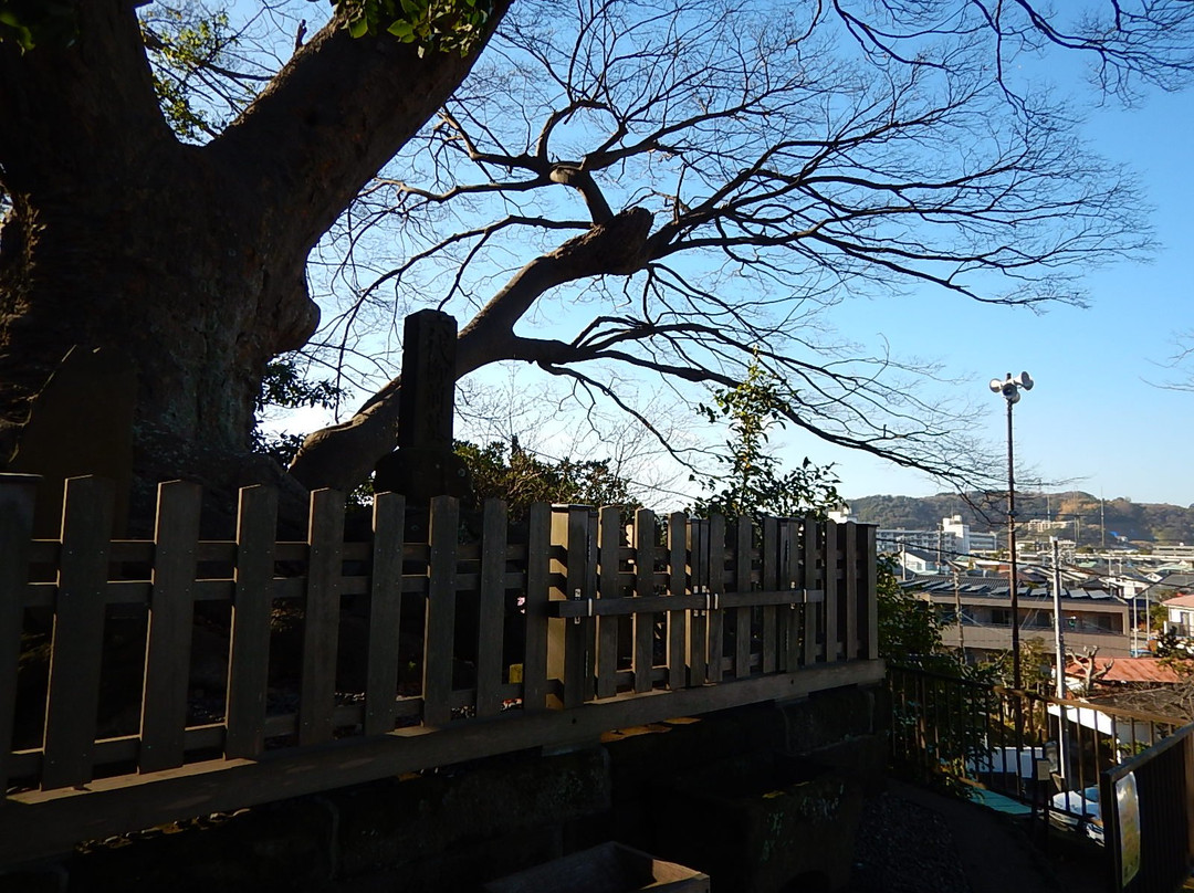 Rokudai Gozenno Haka景点图片